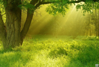 ​玩具品牌起名大全