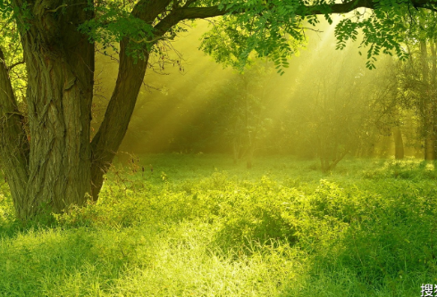 1757587036574560.png image.png