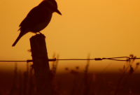 ​农业科技公司起名大全