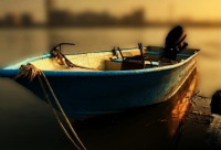 ​宠物公司取名大全