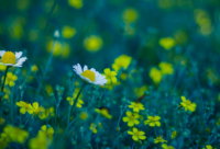 ​好听的女装网店名字时尚个性大全