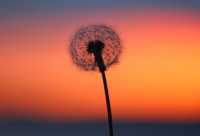 ​照明公司起名-灯饰公司名字