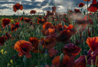 ​亲子装店名大全