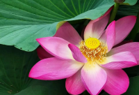 ​商贸公司取名大全：给您的创业之路更多选择