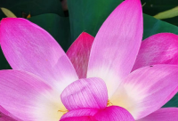 ​有寓意的婚礼用品店取名