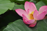 ​3个字洋气公司名字大全