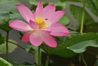 ​免费自动取名：为您的企业或品牌寻找独特的标识