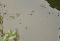 ​美妆店的名字大全