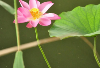 ​教育咨询公司起名-教育咨询公司名字