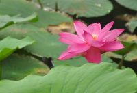 ​给模具公司起名字