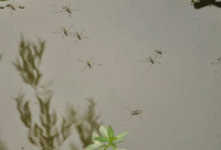 ​公司起名：如何为你的企业找到一个独一无二的品牌名字？