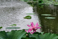 ​防雷公司起名大全