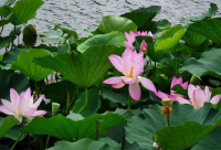 ​如何策划给店铺起名