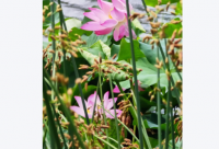 ​通讯店名大全