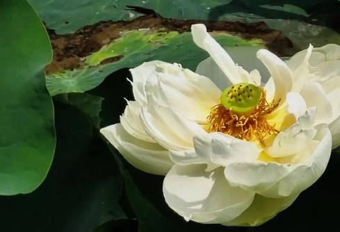 1757593360261116.png image.png