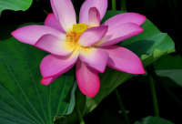 ​母婴店铺起名电子邮件