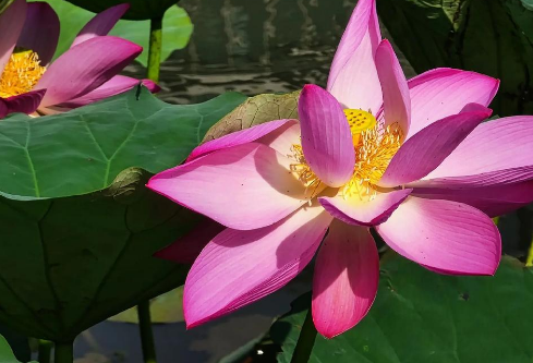 1757594361502008.png image.png