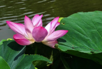 ​独一无二的服装店名