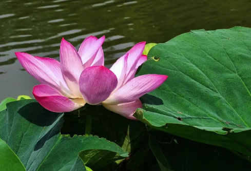 1757594528360176.png image.png