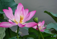 ​活动策划公司取名