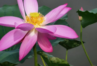 ​企业起名服务：解决您的品牌命名难题