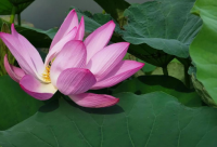 ​好听的小吃店名字大全