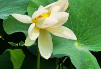 ​好听的纺织公司起名