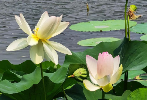 1757595862110178.png image.png