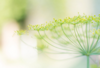 ​可爱风格的淘宝店铺名