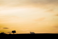 ​石化公司起名大全