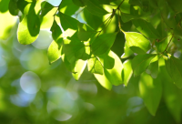 ​电器公司取名字大全