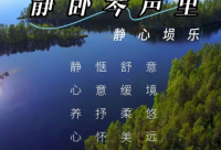 ​进口公司起名