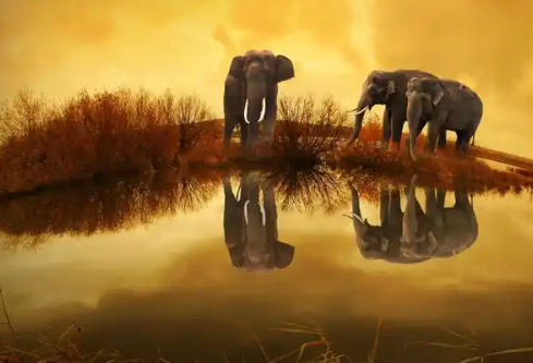 1757601864115475.png image.png