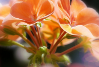 ​起名公司起名准吗