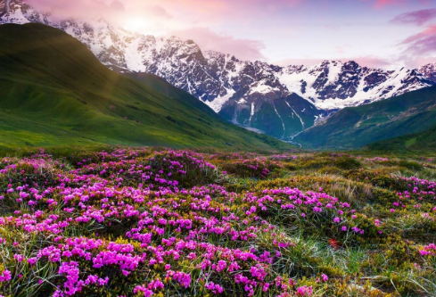 1757603196298640.png image.png