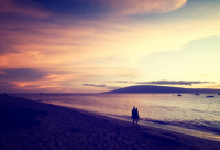 ​农业公司起名大全最佳：创造独特的农业品牌标识