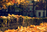 ​有创意的设计公司名字