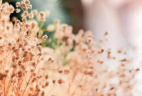 ​物流公司名称-好听的物流公司名字大全