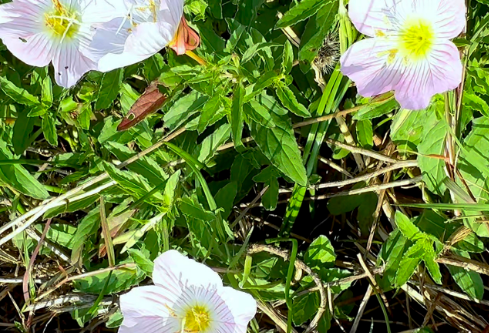 1757604031522233.png image.png