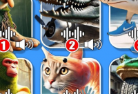 ​恐怖奶奶弓箭手名字浪漫的情侣名字2025