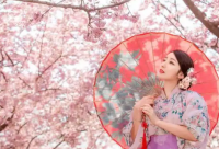 ​qq签名大全2026年女生70句