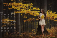 ​公司名称大全简单大气取名600个，大气有格局的公司名字参考